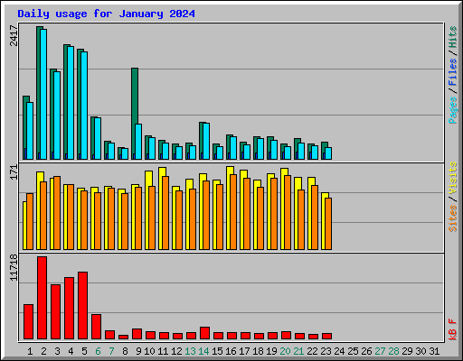 Daily usage for January 2024