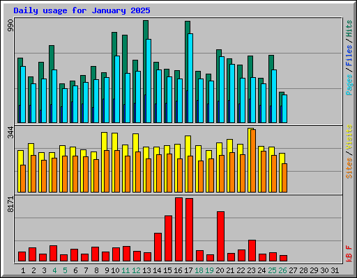 Daily usage for January 2025