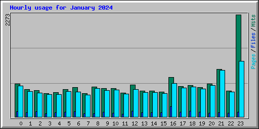 Hourly usage for January 2024