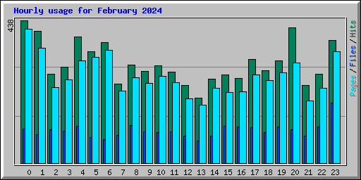 Hourly usage for February 2024