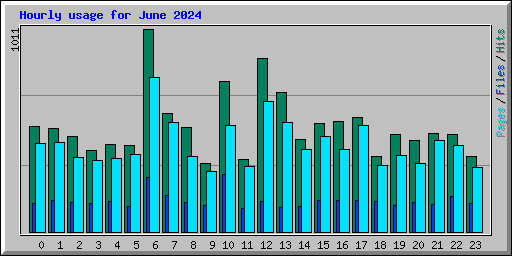 Hourly usage for June 2024