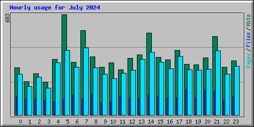 Hourly usage for July 2024