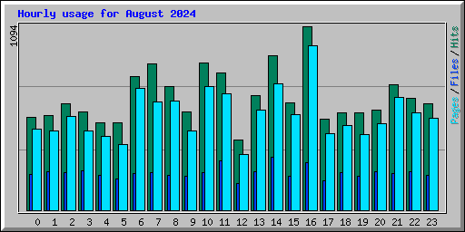 Hourly usage for August 2024