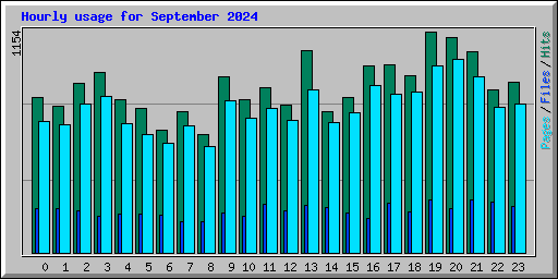 Hourly usage for September 2024