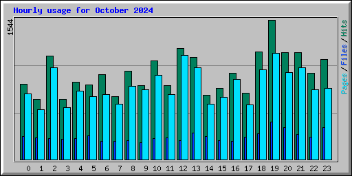 Hourly usage for October 2024