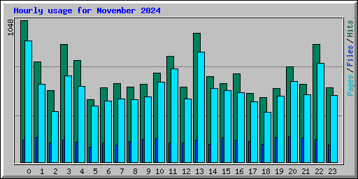 Hourly usage for November 2024