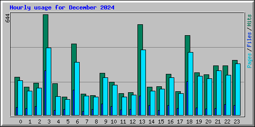 Hourly usage for December 2024