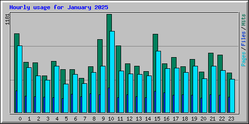 Hourly usage for January 2025