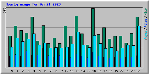 Hourly usage for April 2025