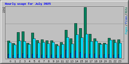Hourly usage for July 2025