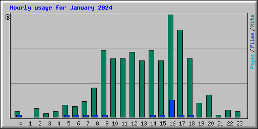 Hourly usage for January 2024