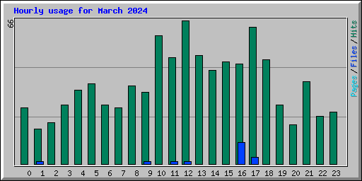 Hourly usage for March 2024